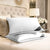 GC Premium Egyptian Cotton Pillowcases – 2 Pack