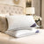 GC Premium Egyptian Cotton Pillowcases – 2 Pack