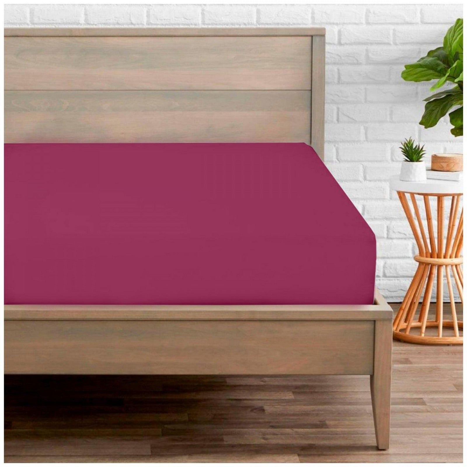 11020127 percale fitted sheet single fuchsia 1 2