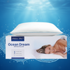 Water Pillow