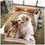GC 3D Dog & Cat Fleece Throw