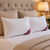 GC Support Pillows – 2 Pack