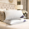GC Premium Egyptian Cotton Pillowcases – 2 Pack