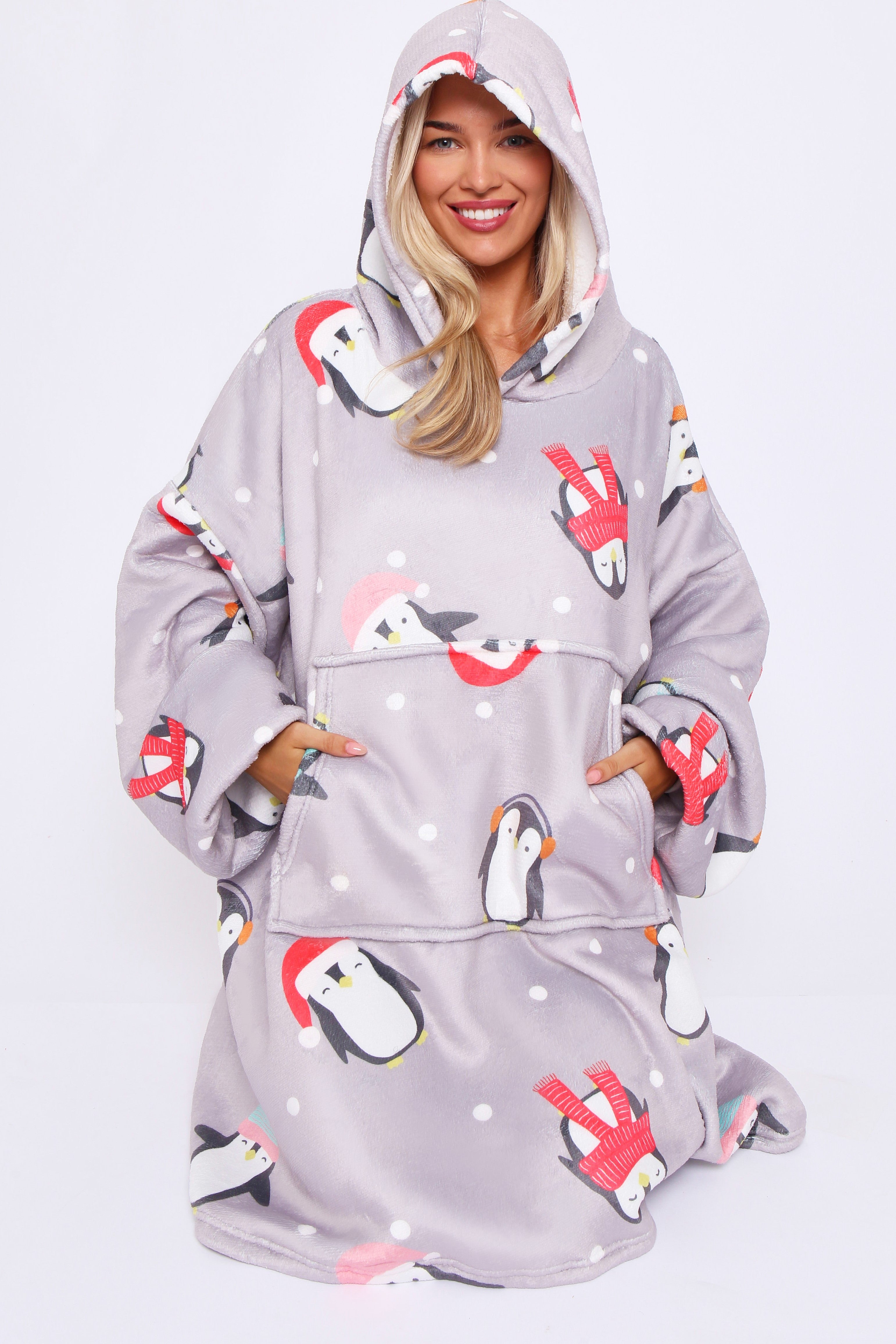 Xmas Penguin Pals Hoodie