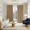 GC Britannia Velvet Ready-Made Curtains